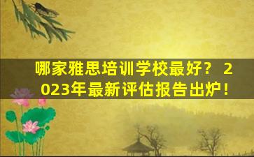 哪家雅思培训学校最好？ 2023年最新评估报告出炉！